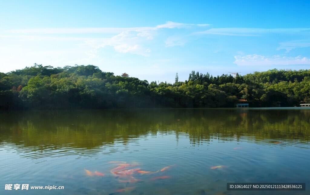  仙湖植物园