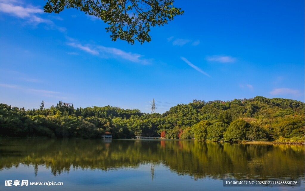  仙湖植物园