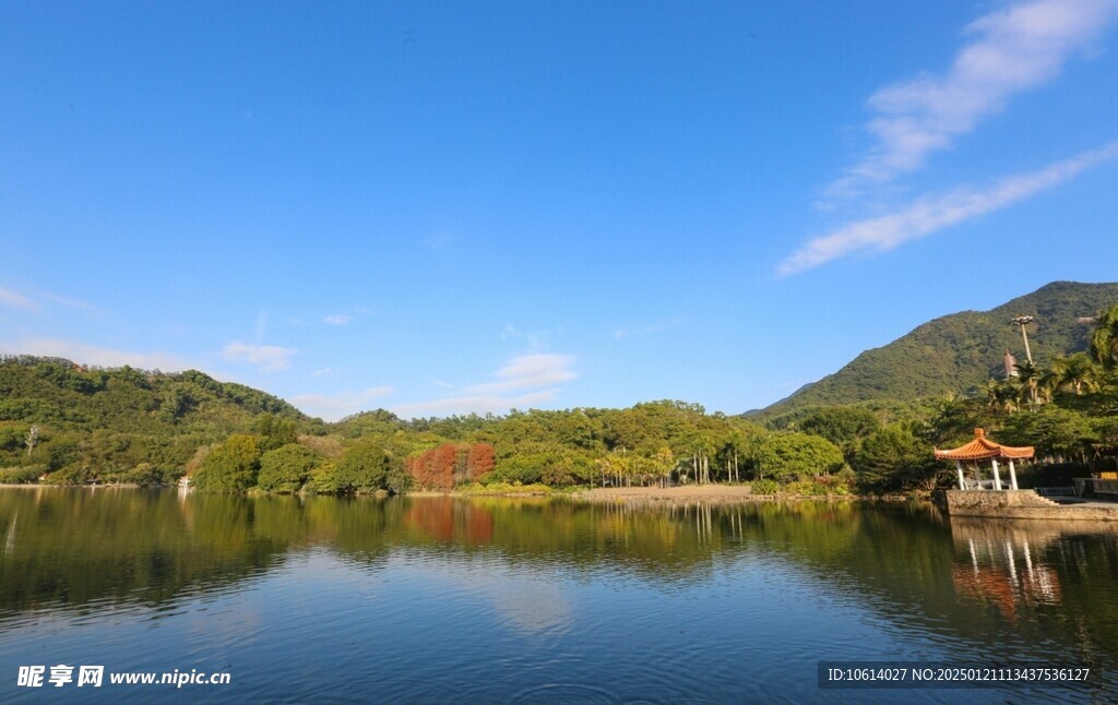  仙湖植物园