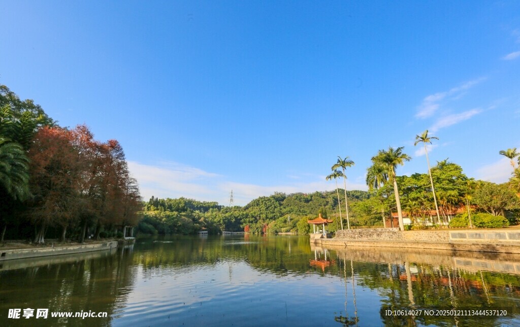  仙湖植物园