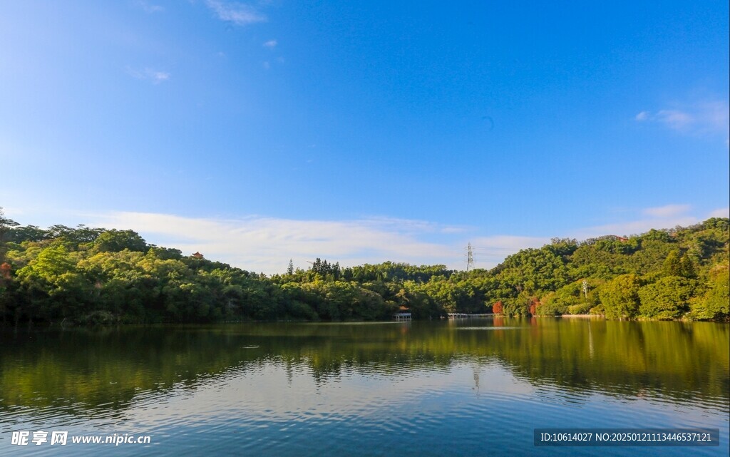  仙湖植物园