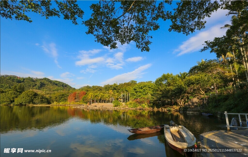  仙湖植物园