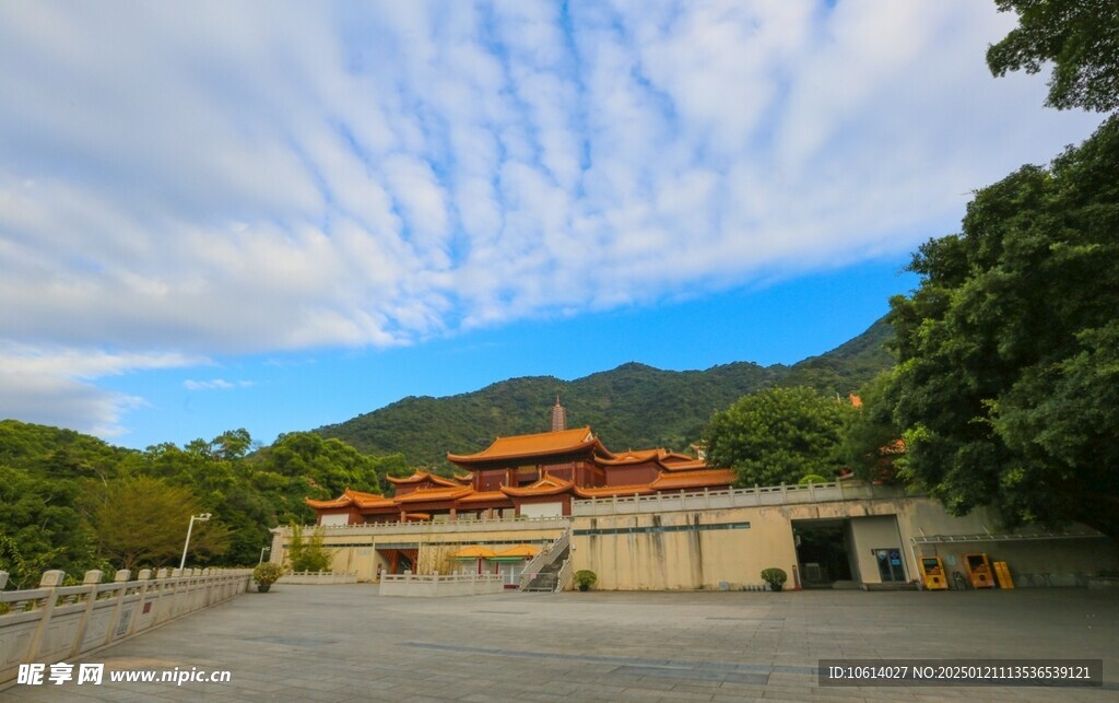 仙湖植物园