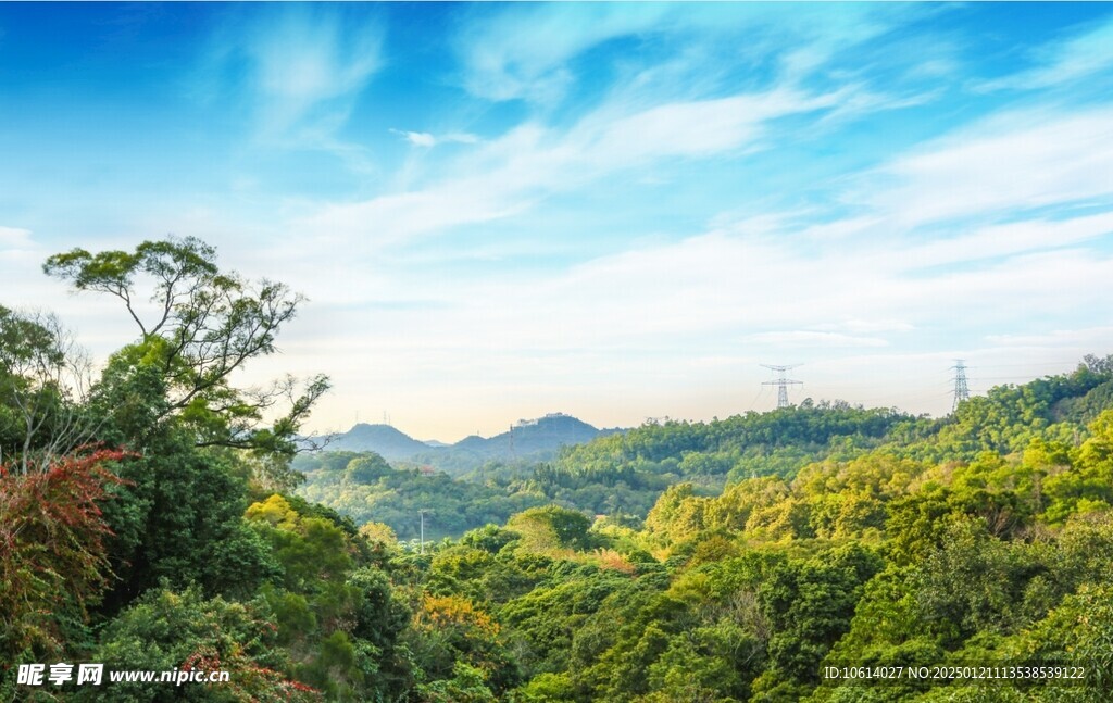 仙湖植物园