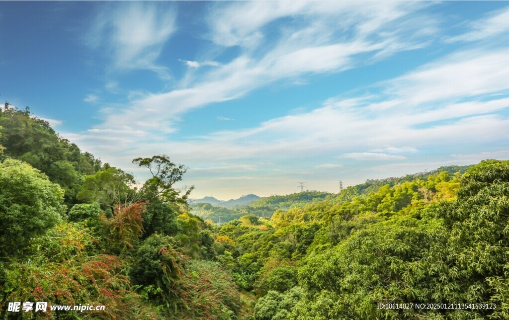 仙湖植物园