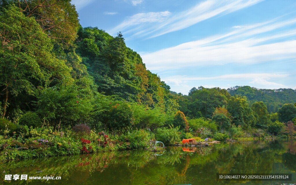 仙湖植物园