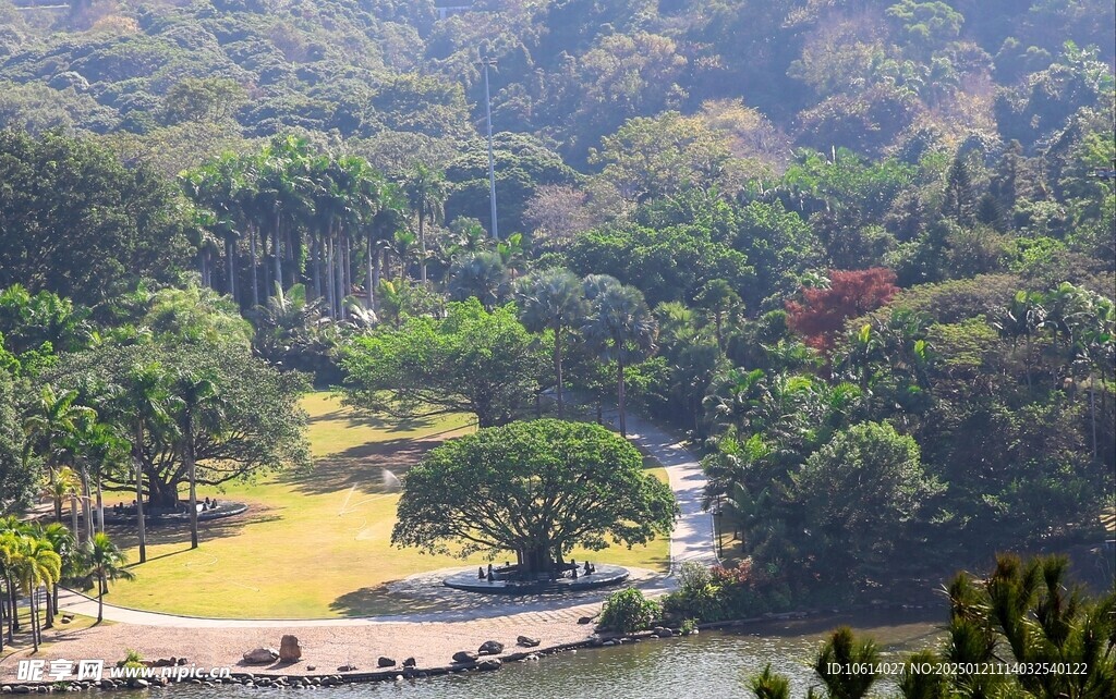 仙湖植物园