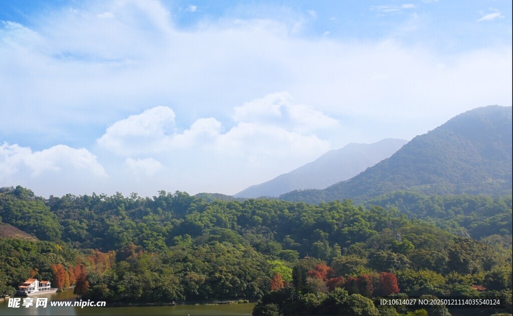 仙湖植物园