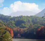 仙湖植物园