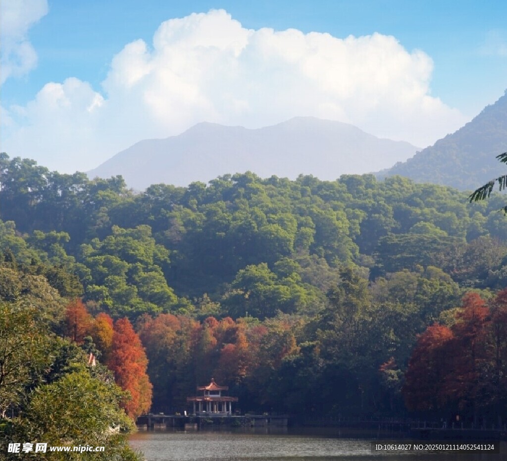 仙湖植物园