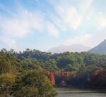 仙湖植物园