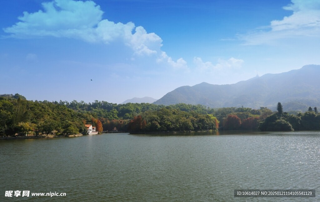 仙湖植物园