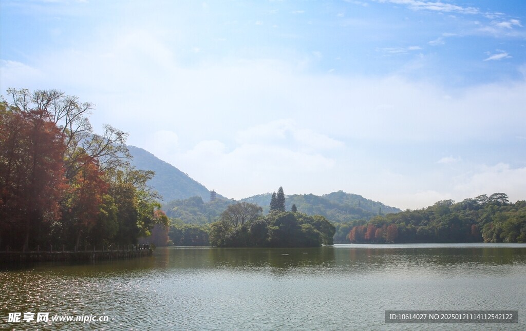 仙湖植物园