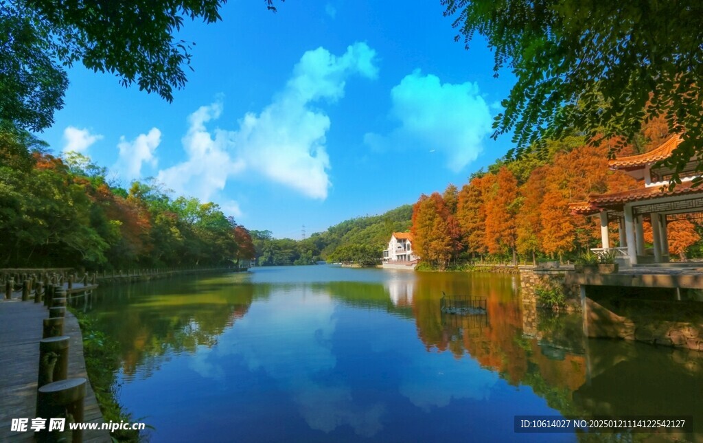 仙湖植物园