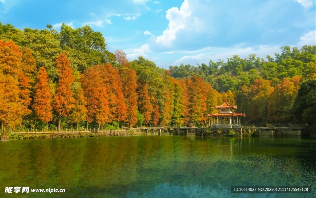 仙湖植物园