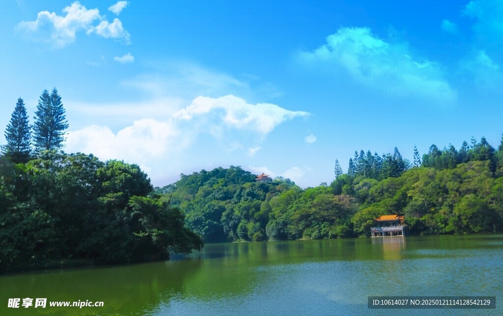 仙湖植物园