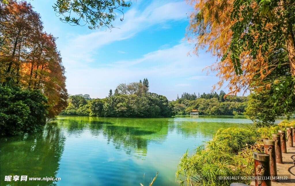 仙湖植物园