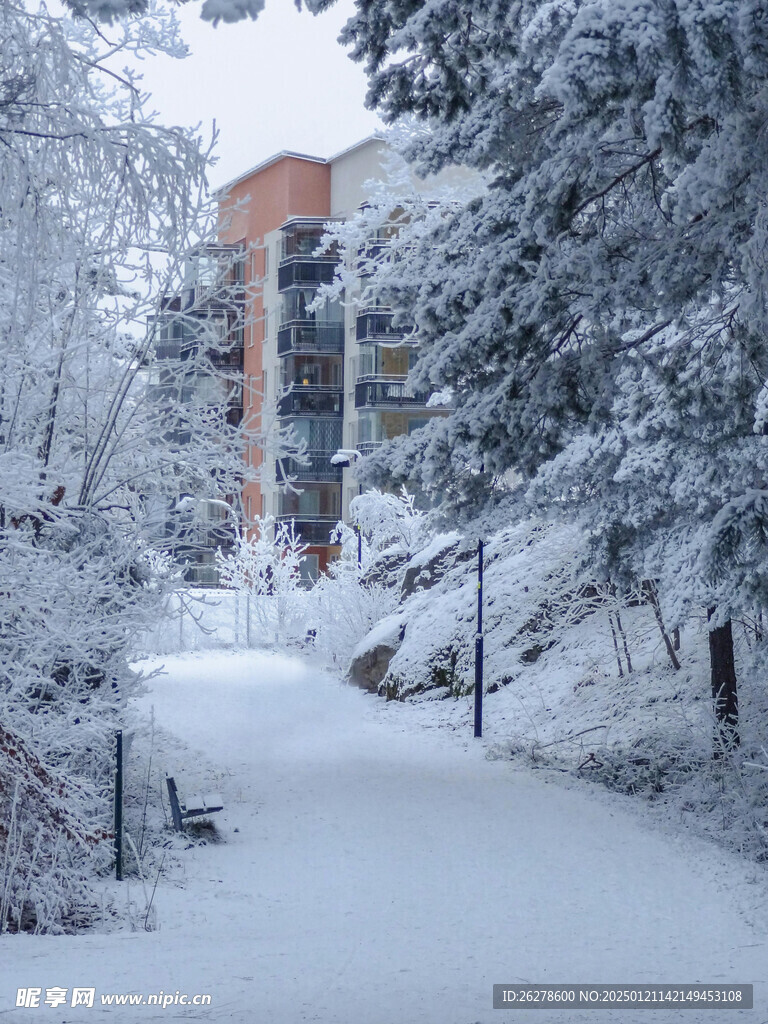 雪景