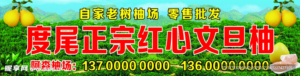 红心文旦柚