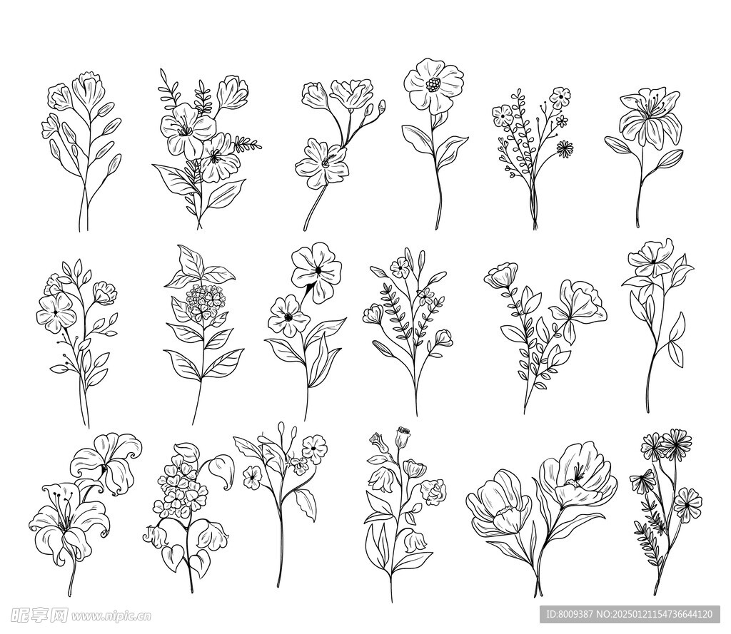 线描手绘花卉元素