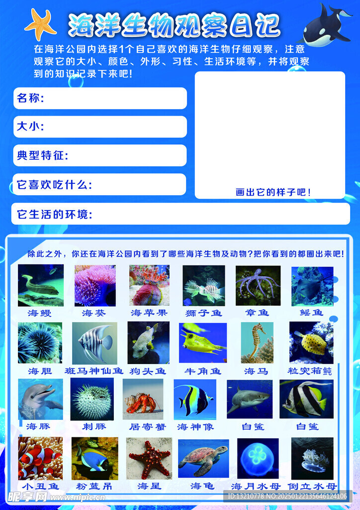 海洋馆 研学 手册