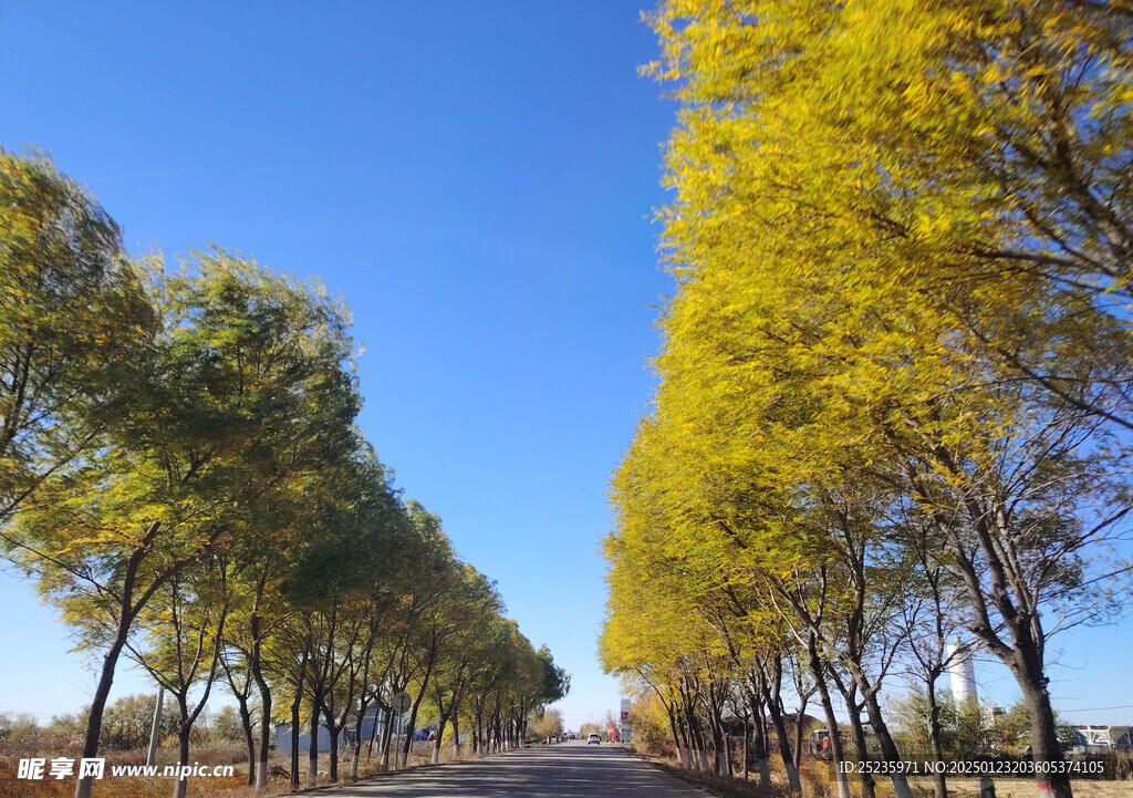 秋天风景