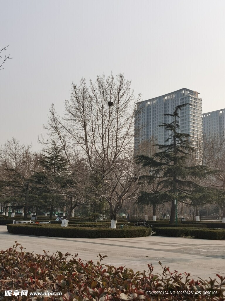  公园