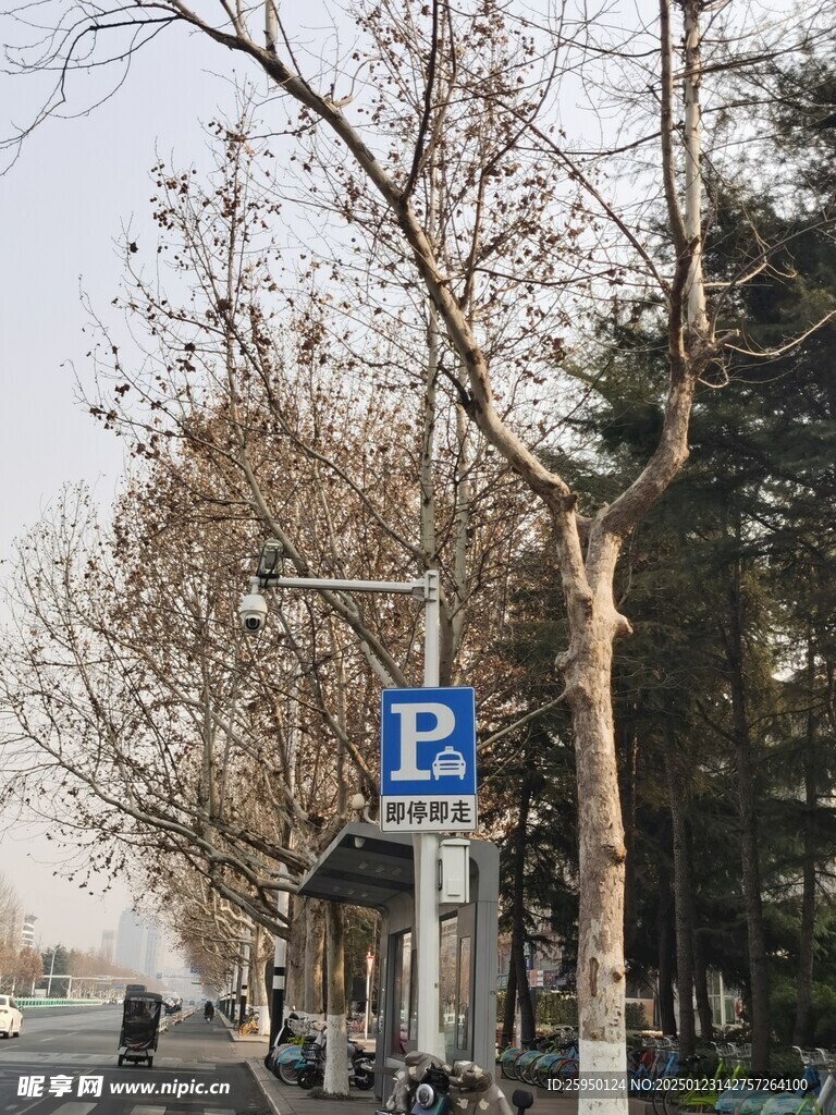 树杆