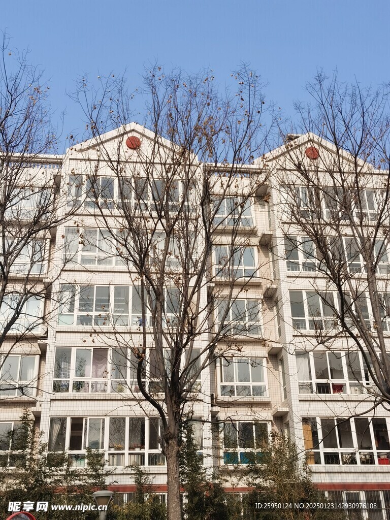 树杆