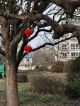 树杆