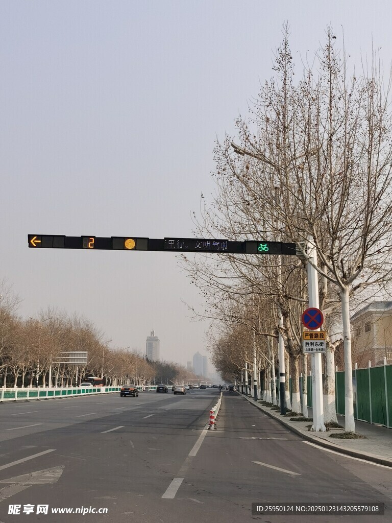 树杆
