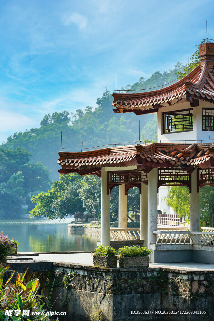 仙湖植物园的夏景