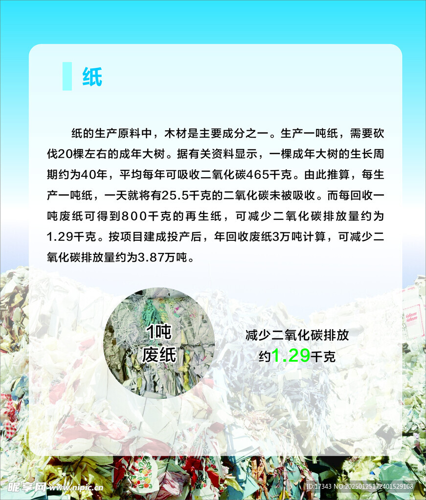 纸