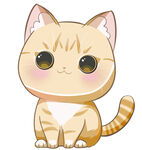 卡通可爱猫咪