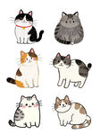 猫咪素材