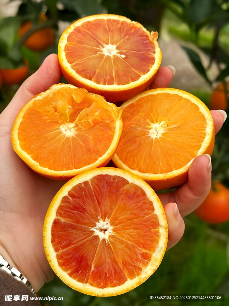 橙子