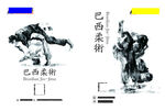 巴西柔术简约海报