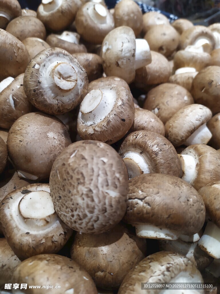 香菇