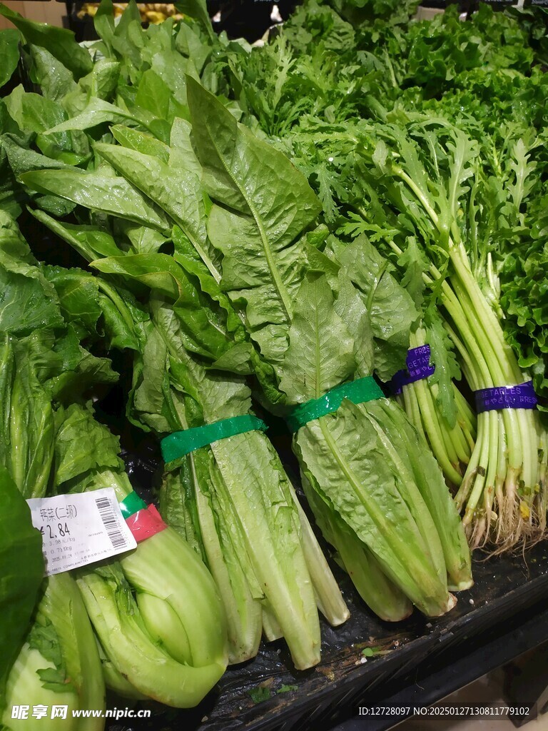 油麦菜