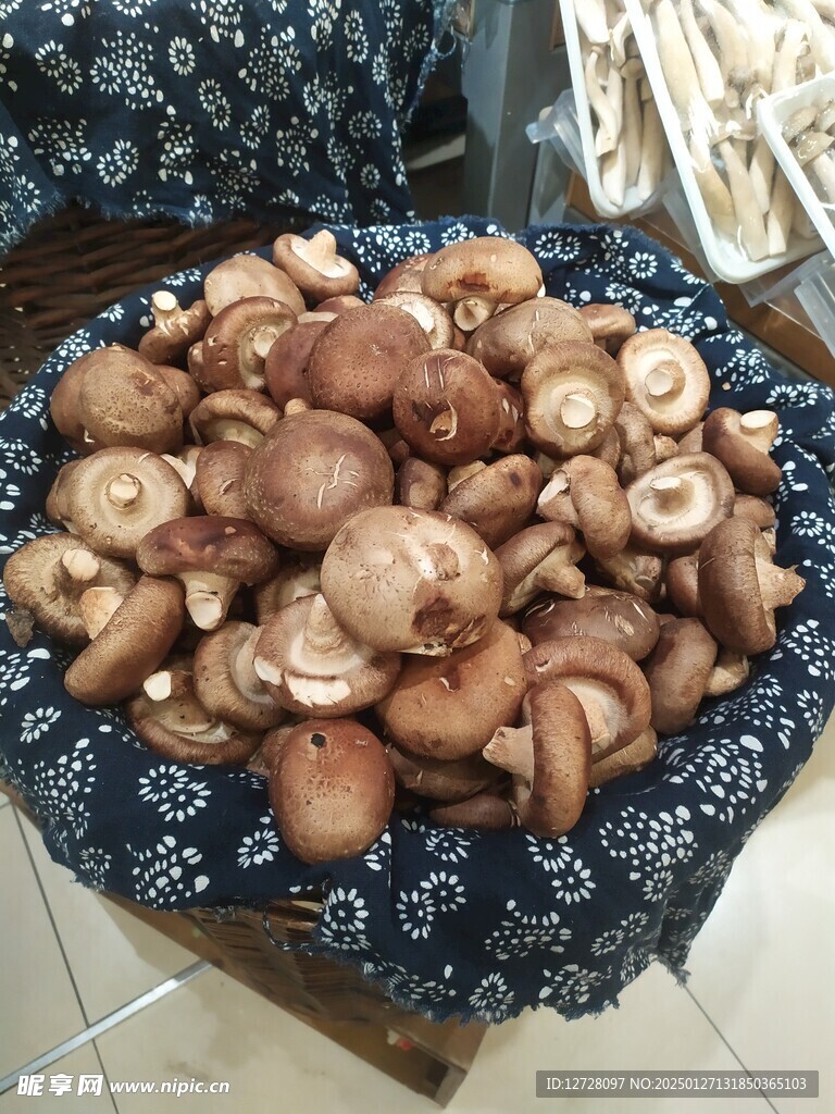 香菇 