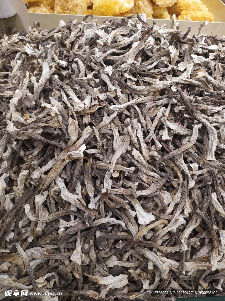 鸡枞菌 
