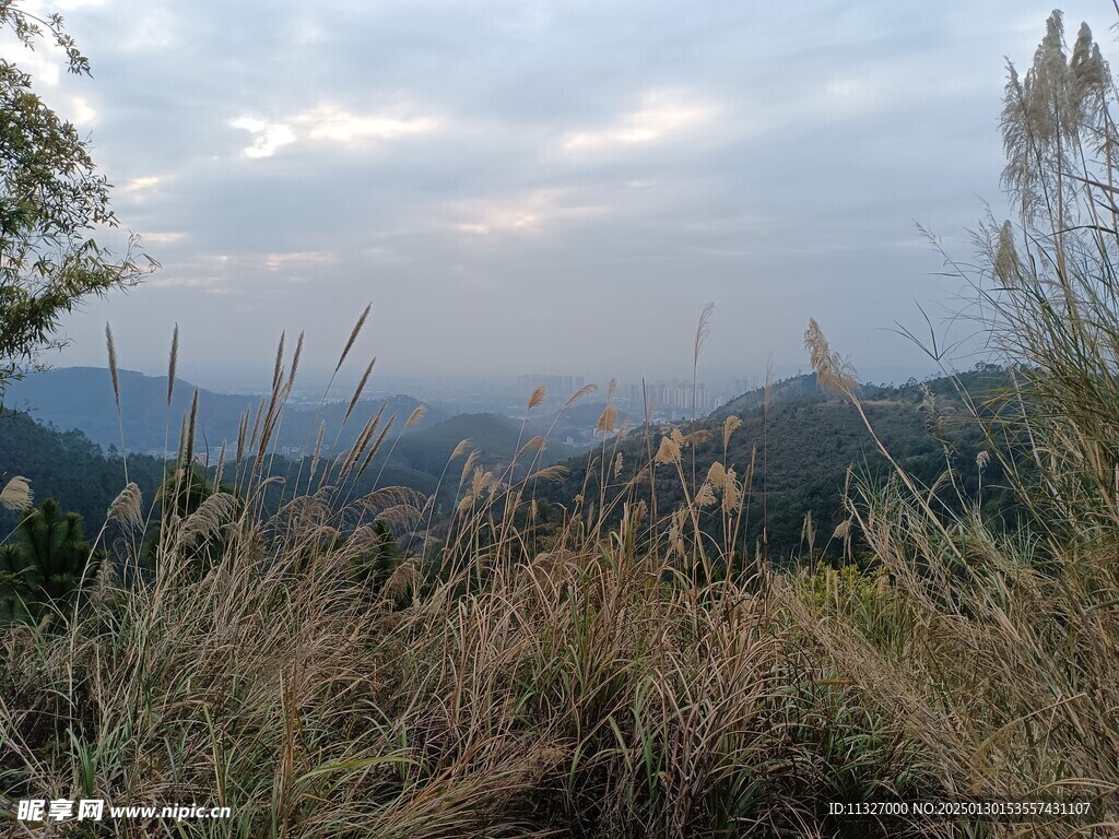 远山小城