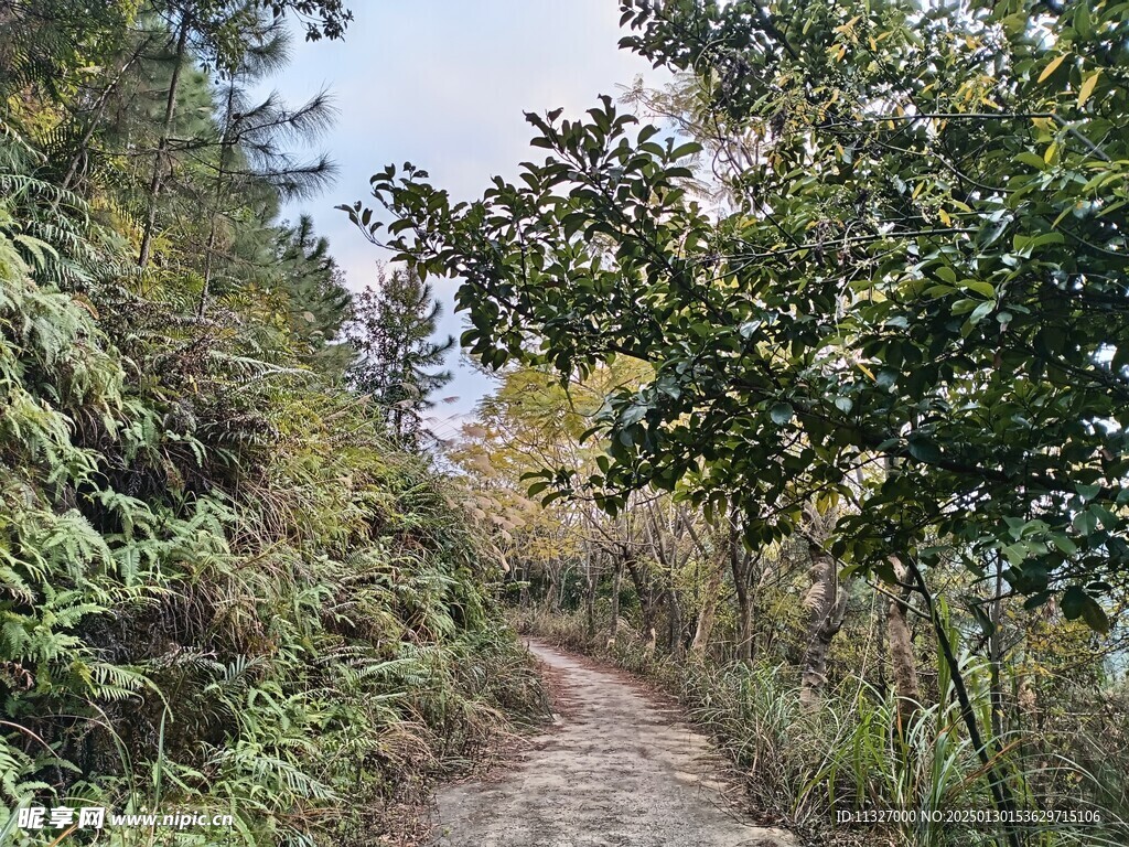 山径