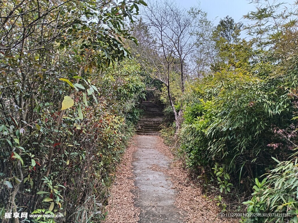 山道