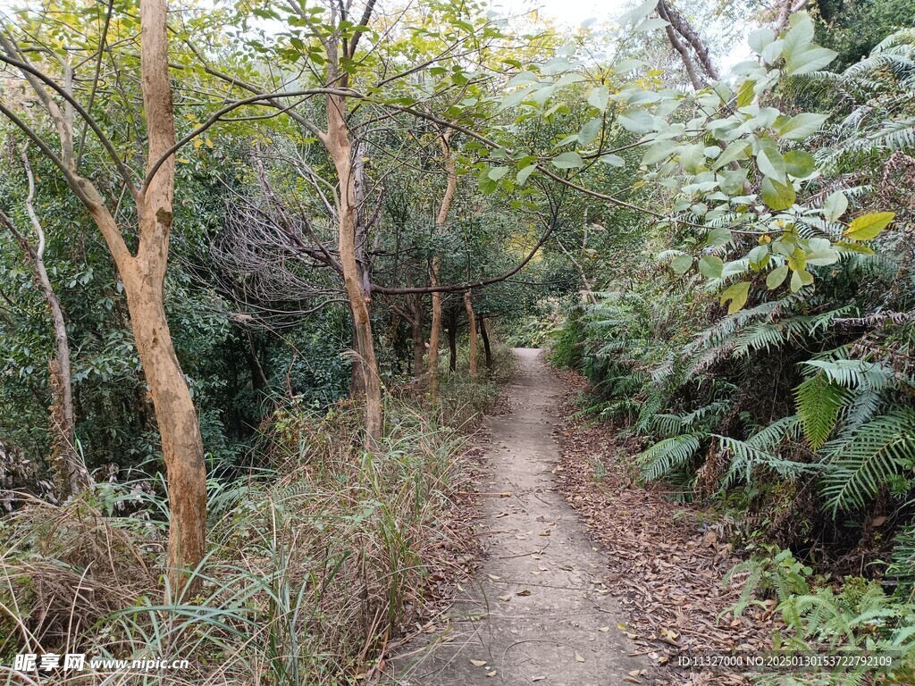 山路