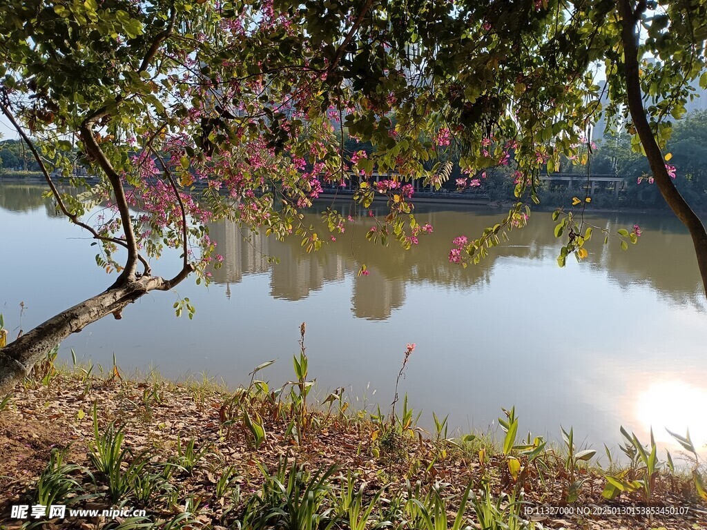 湖