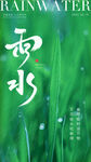雨水
