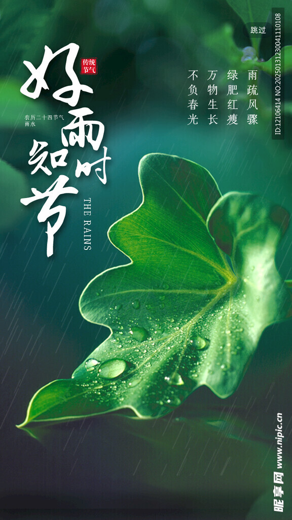 雨水