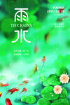 雨水