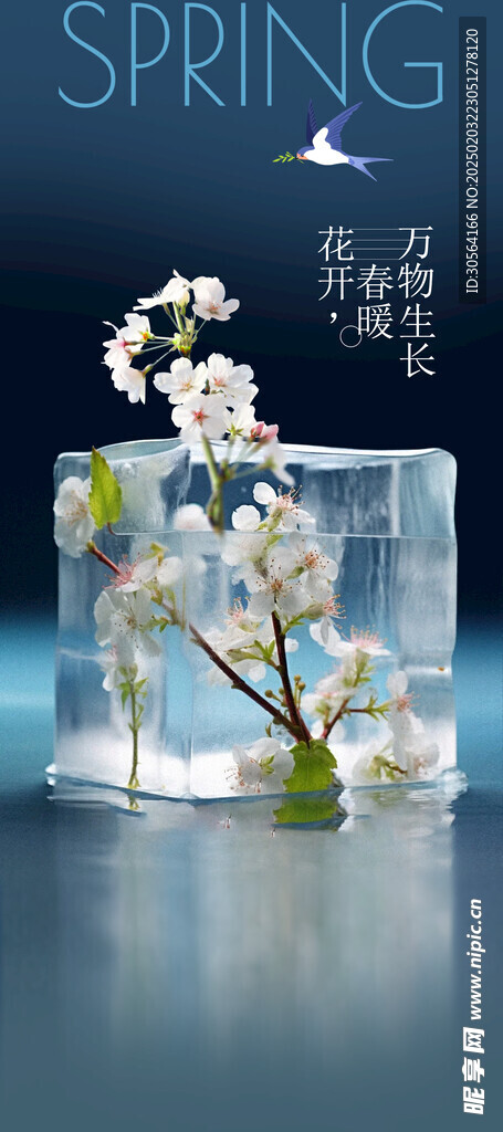 立春